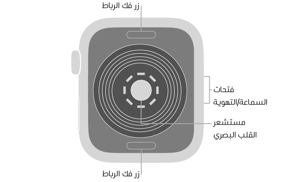 الجزء الخلفي من Apple Watch SE ويظهر به زرا تحرير الرباط في الأعلى والأسفل ومجس القلب الكهربائي في المنتصف وفتحات السماعة/التهوية على الجانب.