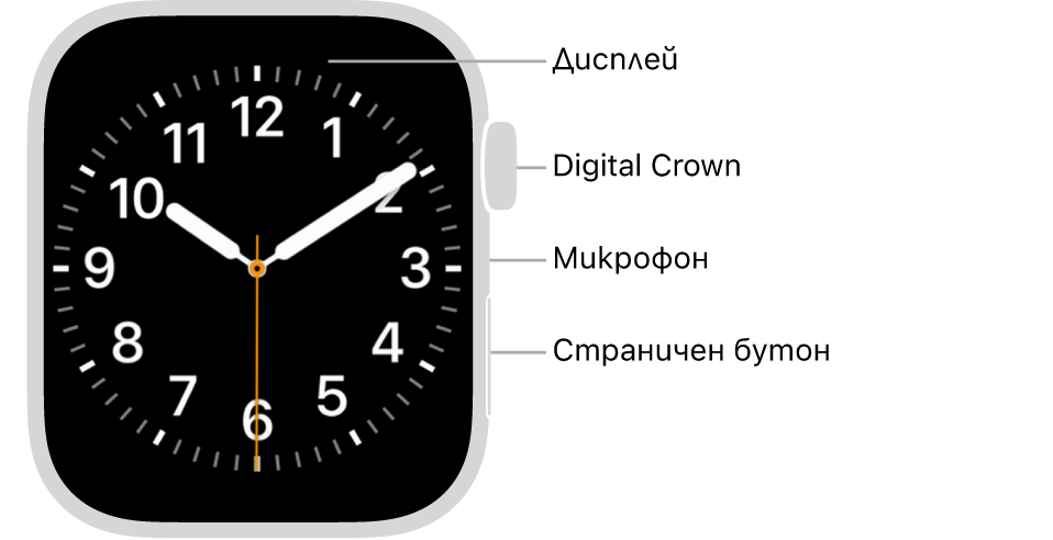 Предната страна на Apple Watch Series 9 с екран, показващ циферблат, и, от горе надолу, встрани от часовника коронката Digital Crown, микрофон и страничен бутон.
