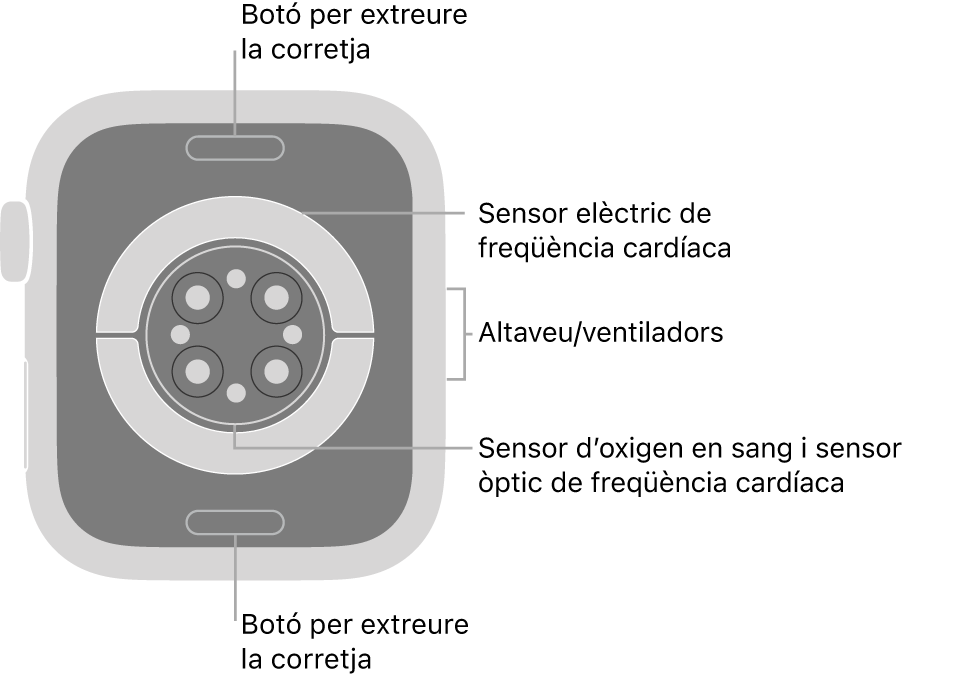 La part de darrere de l’Apple Watch Series 6 mostra els botons per obrir la corretja a dalt i a baix; els sensors elèctrics cardíacs, els sensors òptics cardíacs i els sensors d’oxigen en sang al mig, i l’altaveu i les sortides de ventilació a la part lateral del rellotge.