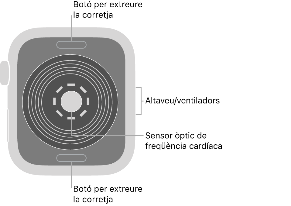 La part de darrere de l’Apple Watch SE mostra els botons per obrir la corretja a dalt i a baix; els sensors òptics cardíacs al mig, i l’altaveu i les sortides de ventilació a la part lateral del rellotge.
