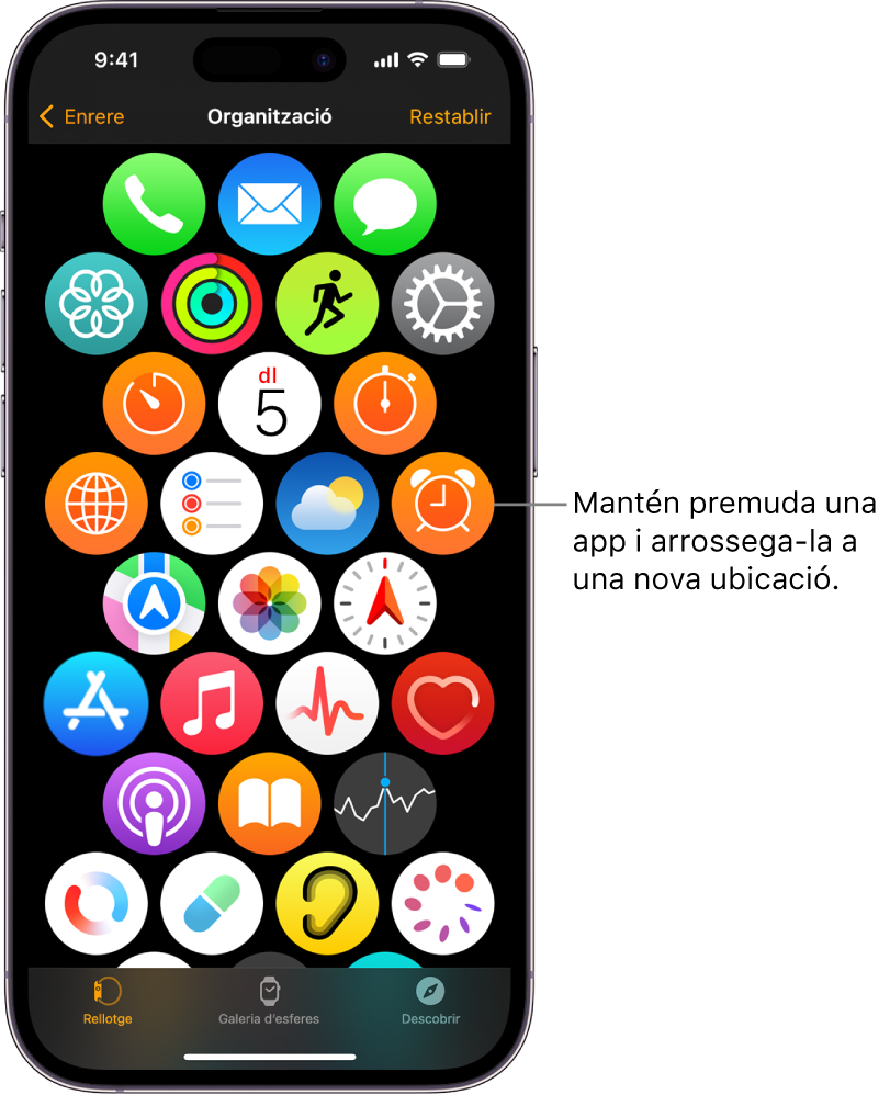 La pantalla de Disposició a l’app Apple Watch que mostra una retícula d’icones.
