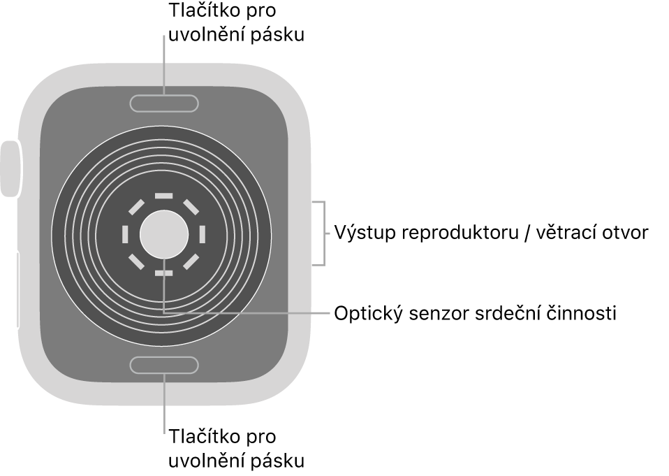 Zadní strana hodinek Apple Watch SE: nahoře a dole jsou tlačítka pro uvolnění řemínku, uprostřed optické čidlo srdeční činnosti a čidla pro měření hladiny kyslíku v krvi a na boku je reproduktor a větrací otvor.