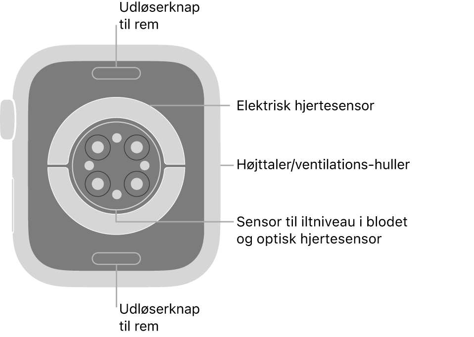 Bagsiden af Apple Watch Series 9 med udløserknapperne foroven og forneden, de elektriske pulsmålere, de optiske pulsmålere og sensorerne til iltniveau i blodet i midten og højttaleren/ventilationshullerne på siden.