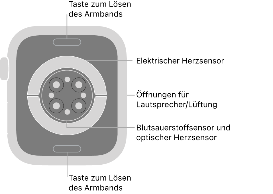 Die Rückseite der Apple Watch Series 9 mit Entriegelungstasten für das Armband oben und unten, elektrischem Herzsensor, optischem Herzsensor und dem Sensor für den Sauerstoffgehalt im Blut in der Mitte sowie den Lautsprecher-/Lüfteröffnungen an der Seite.