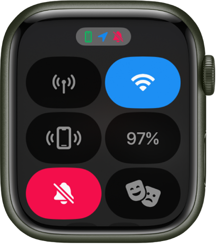 Camera icon outlet on apple watch