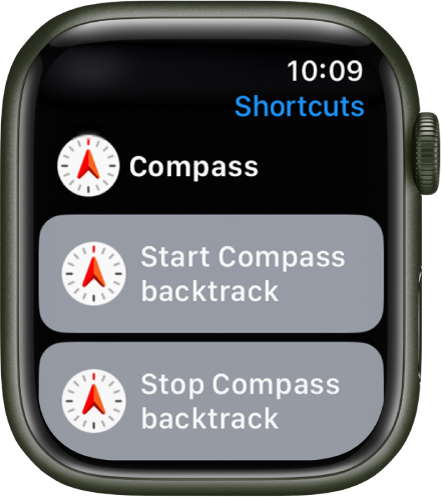 Use shortcuts on Apple Watch - Apple Support