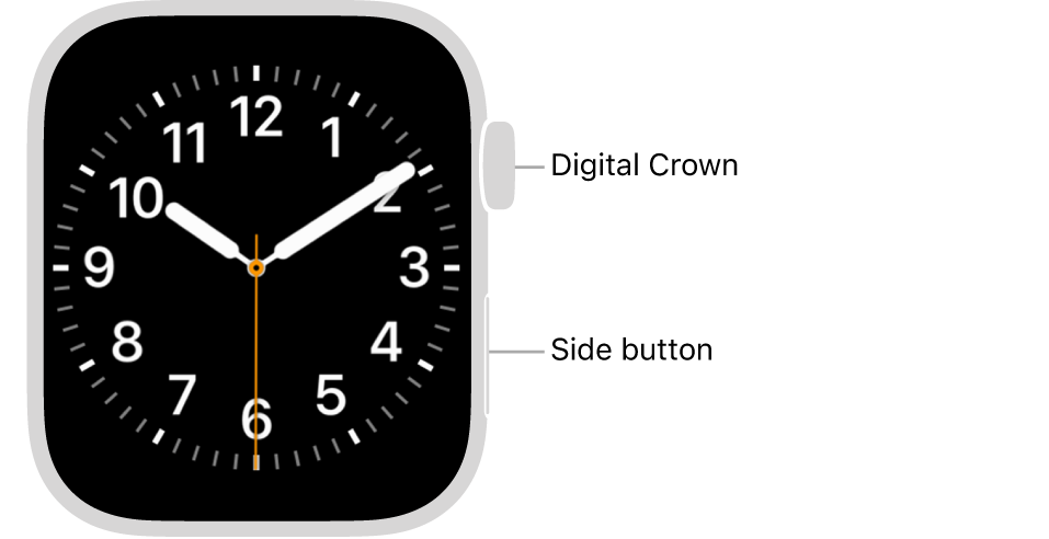 Is Your Apple Watch Side Button Stuck or Unresponsive? Try These Fixes