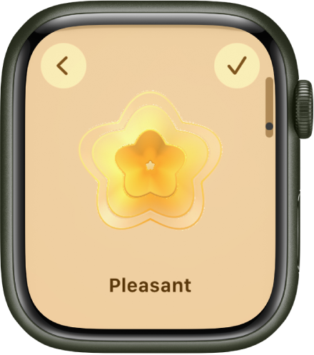 The Mindfulness app screen showing the State of Mind screen with a visual in the center. An emotion is listed below.