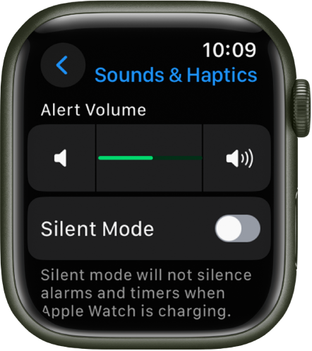 Adjust brightness, text size, sounds, and haptics on Apple Watch - Apple  Support