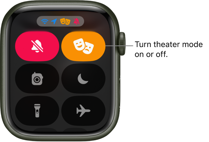 Find i icon 2024 on apple watch