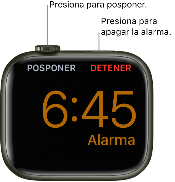 Un Apple Watch colocado de lado, la pantalla muestra una alarma activa. Debajo de la Digital Crown está la opción Posponer. La palabra Detener está debajo del botón lateral.