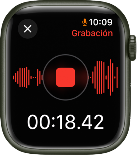 Pantalla de la app Notas de Voz mientras se graba una nota. El botón rojo Detener está en medio. Debajo está el tiempo transcurrido de la grabación. La palabra Grabando aparece en la esquina superior derecha.