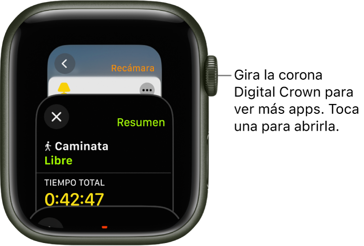 El selector de apps mostrando la app Entrenamiento. Gira la corona Digital Crown para ver más apps. Toca una para abrirla.