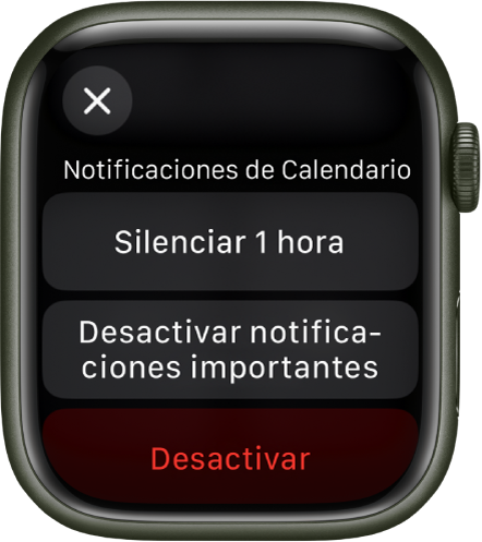 Ajustes de notificación del Apple Watch. El botón superior dice “Durante 1 hora”. Debajo están los botones “Desactivar notificaciones importantes” y Desactivar.