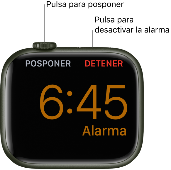 Un Apple Watch colocado de lado, con la pantalla que muestra una alarma que está sonando. Debajo de la corona Digital Crown se ve la palabra Posponer. Debajo del botón lateral se ve la palabra Detener.