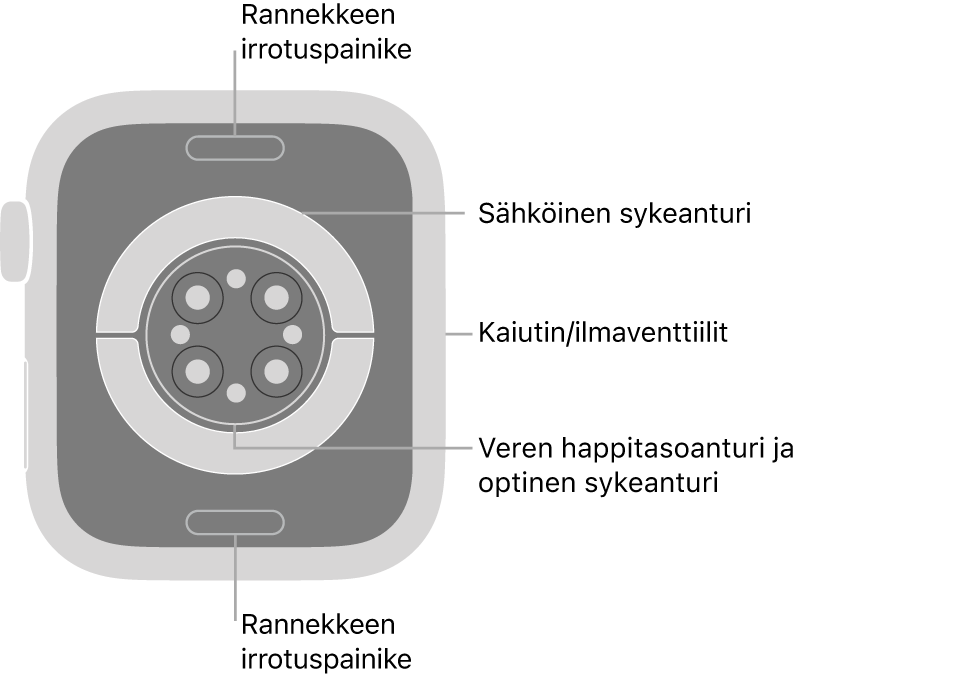 Apple Watch Series 9:n takaosa, jossa on rannekkeen irrotuspainikkeet ylhäällä ja alhaalla, sähköiset sykeanturit, optiset sykeanturit ja veren happitason anturit keskellä sekä kaiutin/ilmastointiaukot sivulla.