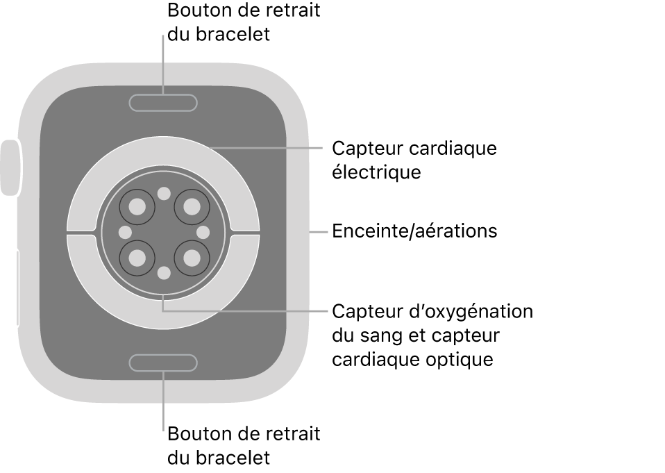 L’arrière de l’Apple Watch Series 9, avec les boutons de retrait du bracelet en haut et en bas, les capteurs électriques de fréquence cardiaque, les capteurs optiques de fréquence cardiaque et les capteurs d’oxygénation du sang au milieu, ainsi que le haut-parleur et les aérations sur le côté.