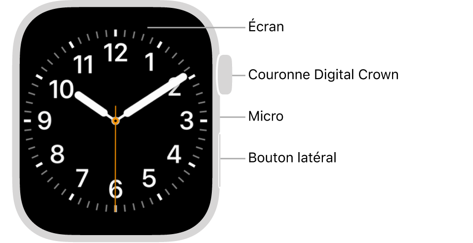 L’avant de l’Apple Watch Series 9, avec l’écran affichant le cadran, et sur le côté de la montre, de haut en bas, la Digital Crown, le micro et le bouton latéral.