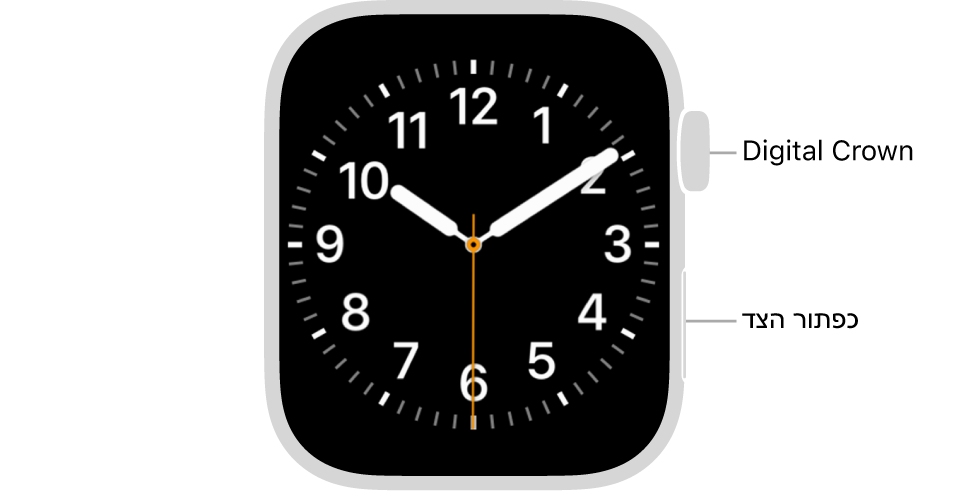 רואים את החזית של ה-Apple Watch. ה-Digital Crown מוצג למעלה משמאל לשעון וכפתור הצד מוצג למטה משמאל.