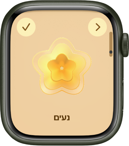 מסך של היישום ״מודעות קשובה״ שמציג את המסך ״הלך רוח״ עם עזר חזותי במרכזו. רגש רשום מתחתיו.