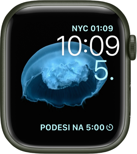 Brojčanik sata Animirani koji prikazuje meduzu. Možete odabrati koji je objekt animiran i dodati nekoliko dodataka. Dodatak Svjetsko vrijeme nalazi se gore desno, vrijeme i datum su ispod, a dodatak Brojač nalazi se na dnu.