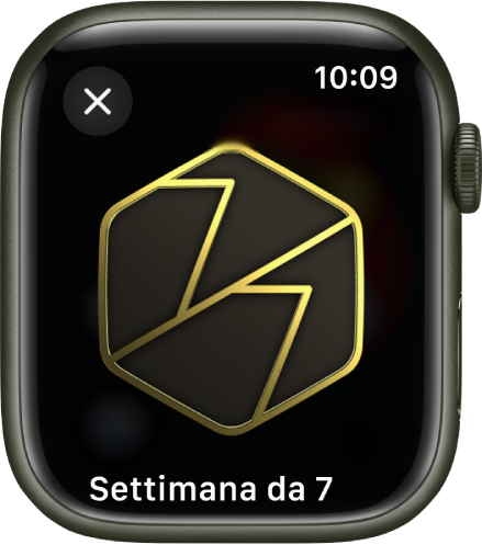 Un premio che viene mostrato su Apple Watch. Sotto il premio c’è una sua descrizione. Puoi trascinare per ruotare il premio.