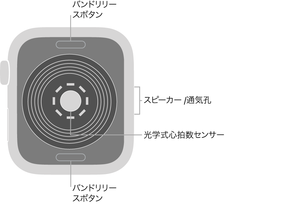 Apple Watch SEの背面で、上下にバンドリリースボタン、中央に光学式心拍数センサー、側面にはスピーカー/通気孔があります。