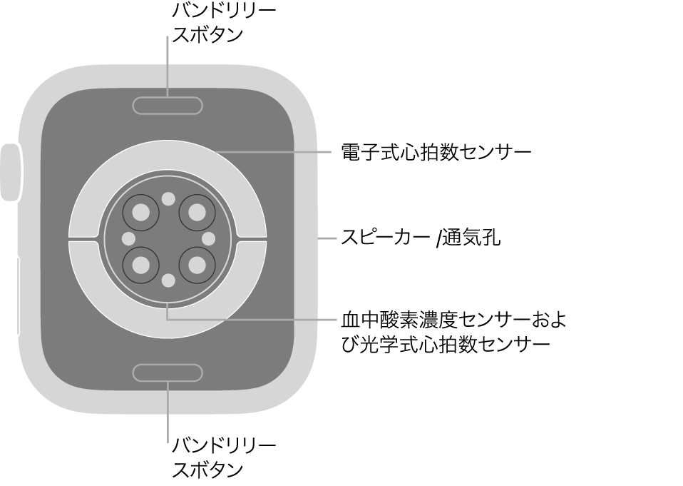 Apple Watch Series 9の背面で、上下にバンドリリースボタン、中央に電気式心拍数センサー、光学式心拍数センサー、血液酸素ウェルネスセンサー、側面にはスピーカー/通気孔があります。