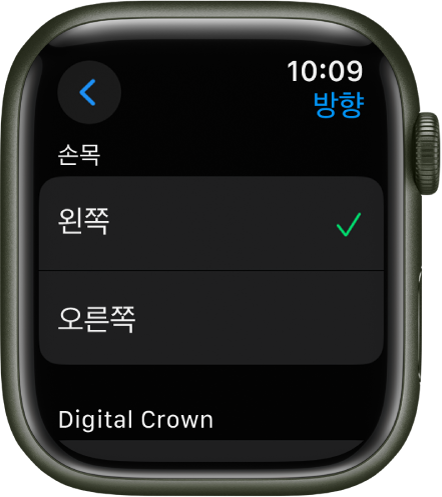 Apple Watch 방향 화면. 손목 및 Digital Crown 환경설정을 설정할 수 있음.