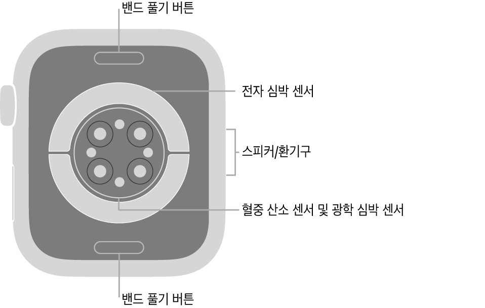 상단과 하단의 밴드 풀기 버튼, 중앙의 전자 심장 센서와 광학 심장 센서와 혈중 산소 센서, 측면의 스피커/환기구가 보이는 Apple Watch Series 6의 후면.