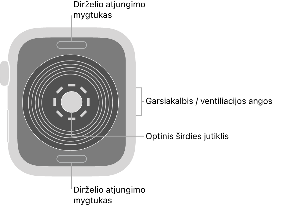 „Apple Watch SE“ galinė pusė, dirželio atjungimo mygtukai viršuje ir apačioje, optinis širdies jutiklis viduryje ir garsiakalbis / ventiliacijos angos šone.
