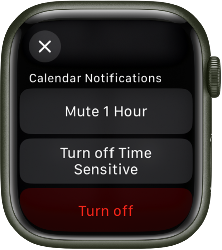 Apple Watch paziņojumu iestatījumi. Uz augšējās pogas ir uzraksts "Mute 1 Hour.” Apakšā ir pogas Turn off Time Sensitive un Turn Off.