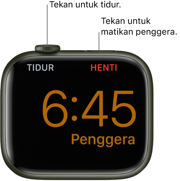 Apple Watch diletakkan pada sisinya, dengan skrin menunjukkan penggera yang sudah berbunyi. Di bawah Digital Crown ialah perkataan “Tidur.” Perkataan “Henti" di bawah butang sisi.