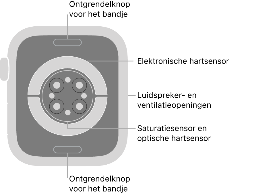 De achterkant van de Apple Watch Series 9, met aan de boven- en onderkant de ontgrendelknoppen van het bandje, in het midden de elektrische hartsensoren, de optische hartsensoren en de saturatiesensoren, en aan de zijkant de luidspreker- en ventilatieopeningen.
