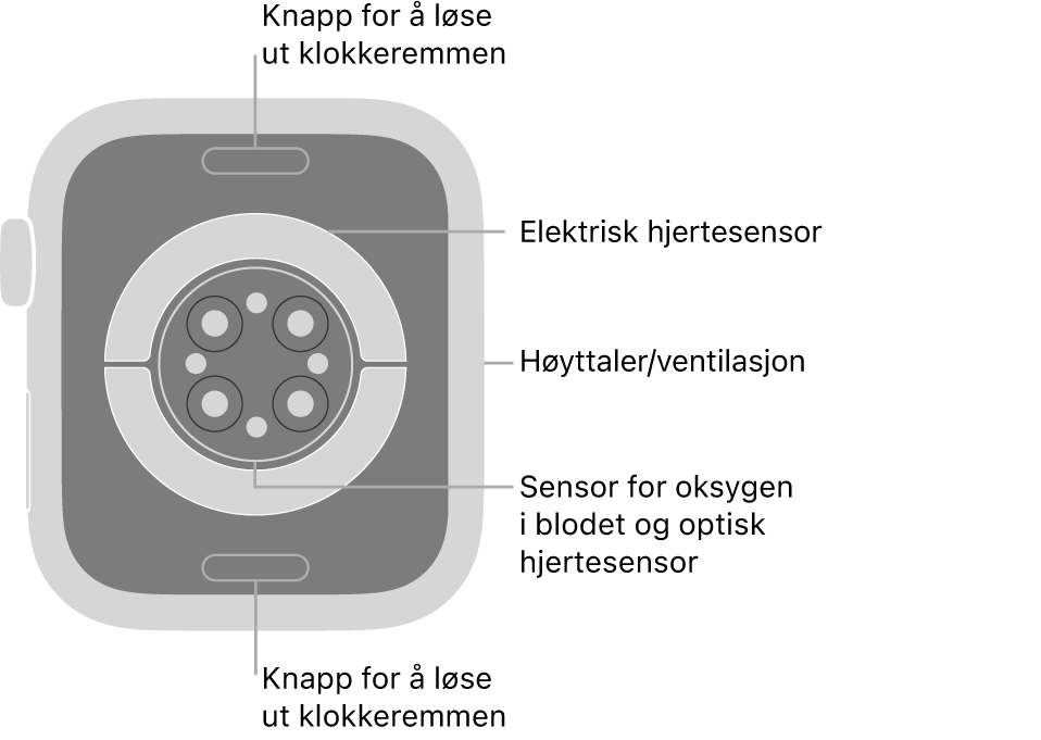 Baksiden av Apple Watch Series 9, med remutløserknappene øverst og nederst, de elektriske pulssensorene, de optiske pulssensorene og sensorene for oksygen i blodet i midten, og høyttaleren/luftventilene på siden.