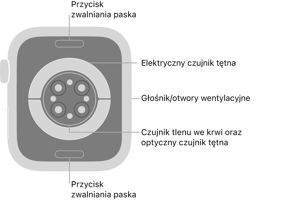 Apple Watch Series 9 widziany z tyłu. Na górze i na dole znajdują się przyciski zwalniania paska. Na środku znajdują się: elektryczne czujniki tętna, optyczne czujniki tętna oraz czujniki tlenu we krwi. Z boku znajdują się otwory głośnika i wentylacji.
