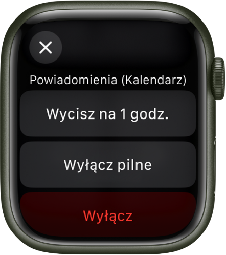 Ustawienia powiadomień na Apple Watch. U góry znajduje się przycisk Wycisz na 1 godz. Poniżej wyświetlane są przyciski Wyłącz pilne i Wyłącz.