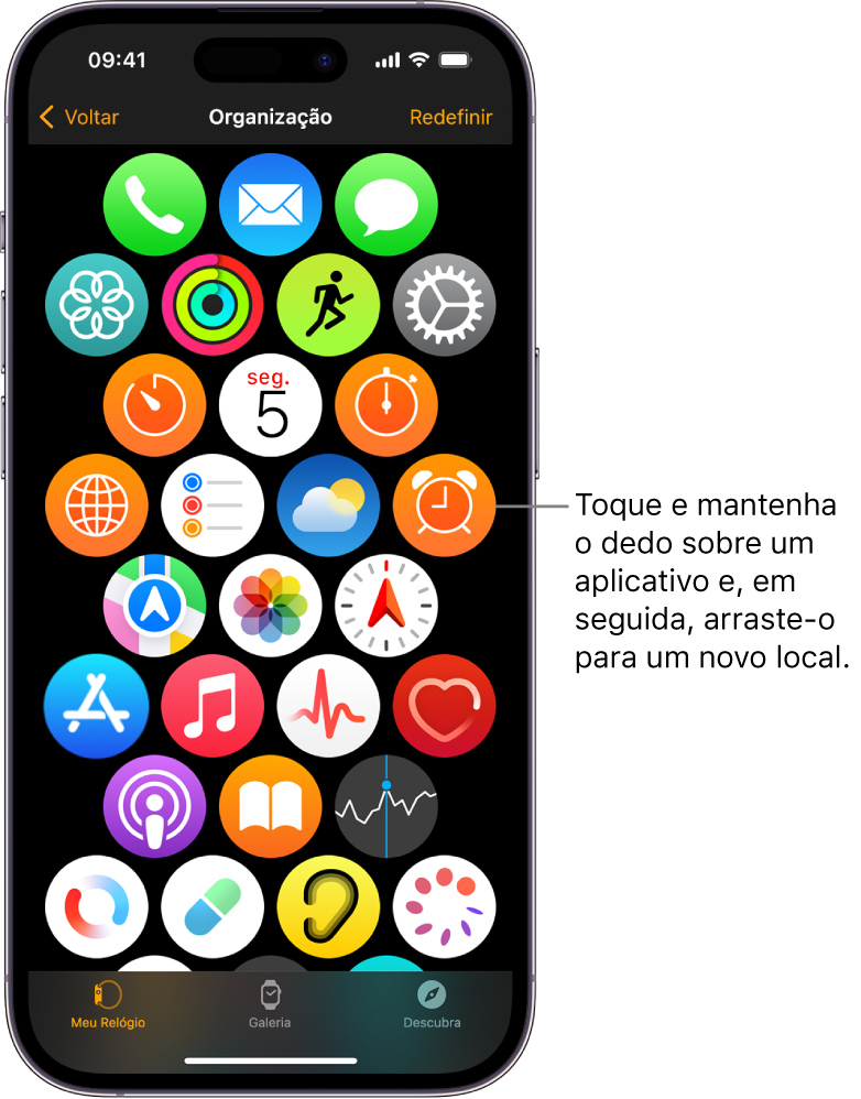 A tela Organização no app Apple Watch mostrando uma grade de ícones.