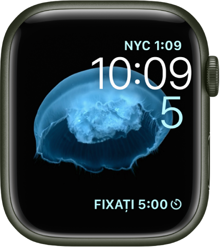 Cadranul de ceas Animație prezentând o meduză. Puteți alege ce obiect este animat și adăuga diferite complicații. O complicație Ceas global se află în dreapta sus, data și ora se află dedesubt și o complicație Temporizator este în partea de jos.