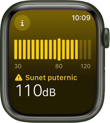 Aplicația Zgomot afișând un nivel al sunetului de 110 decibeli, cu cuvintele “Sunet puternic” deasupra. Un sonometru apare în mijlocul ecranului.