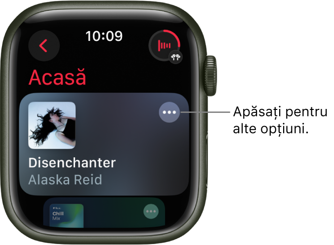 Aplicația Muzică prezintă ecranul Acasă și este afișat un album. Un buton Mai multe opțiuni este în dreapta. În dreapta sus este butonul În redare. Un buton Înapoi este în stânga sus.