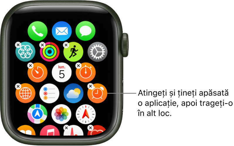 Ecranul principal Apple Watch în vizualizarea grilă.