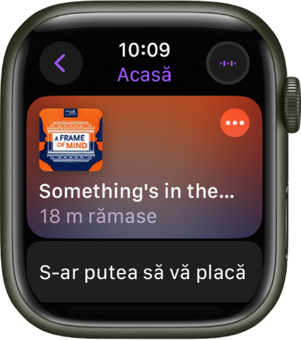 Aplicația Podcasturi de pe Apple Watch prezentând ecranul Acasă cu ilustrația podcastului. Apăsați ilustrația pentru a reda episodul.