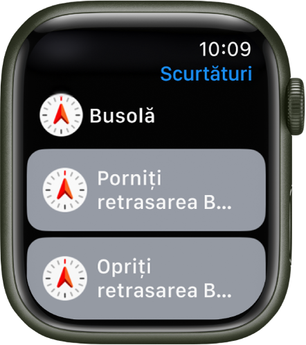 Aplicația Scurtături pe Apple Watch prezentând două scurtături Busolă – Pornire retrasare busolă și Oprire retrasare busolă.
