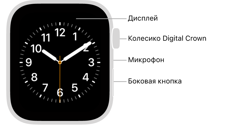 Лицевая сторона Apple Watch (2-го поколения). На дисплее показан циферблат. Сбоку на корпусе часов показаны (сверху вниз): колесико Digital Crown, микрофон и боковая кнопка.