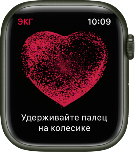 В приложении «ЭКГ» показано изображение сердца и отображается инструкция: «Удерживайте палец на колесике».