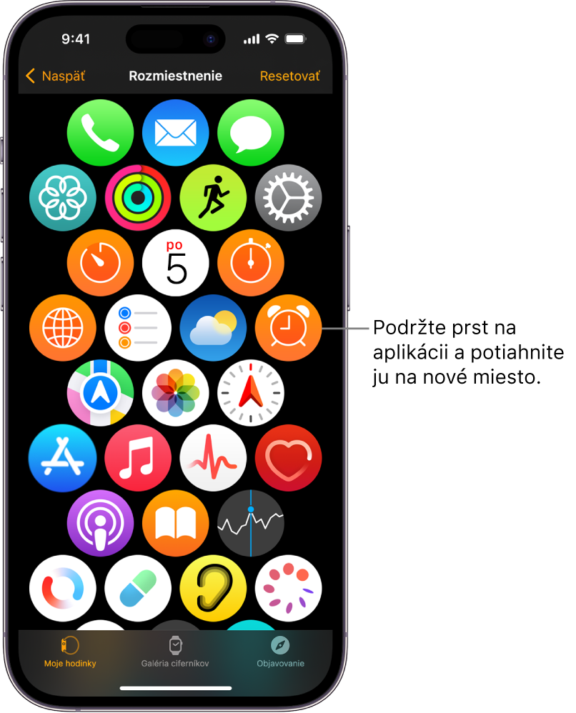 Obrazovka Rozloženie v apke pre Apple Watch zobrazujúca ikony zoradené v mriežke.