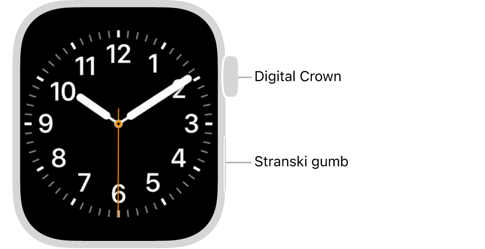 Sprednji del ure Apple Watch, z gumbom Digital Crown prikazanim na vrhu na desni strani ure in stranski gumb, prikazan spodaj desno.