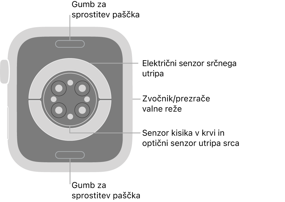Zadnji del ure Apple Watch Series 9 z gumboma za sprostitev paščka zgoraj in spodaj, električnim senzorjem srčnega utripa, optičnimi senzorji srčnega utripa in senzorji kisika v krvi v sredini ter zvočnikom/zračniki na strani.