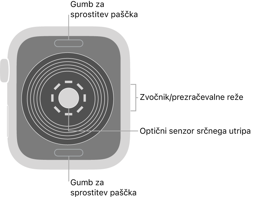 Zadnji del ure Apple Watch SE z gumboma za sprostitev paščka zgoraj in spodaj, optičnim senzorjem srčnega utripa v sredini in zvočnikom/zračniki na strani.